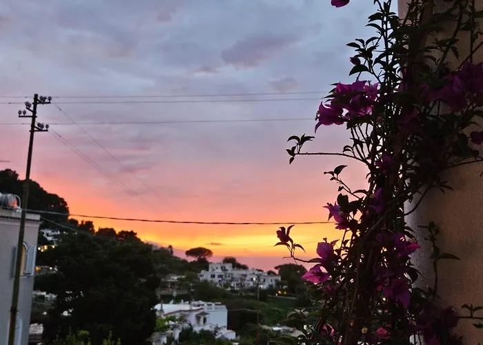 Bed & Breakfast Il Portico Capri